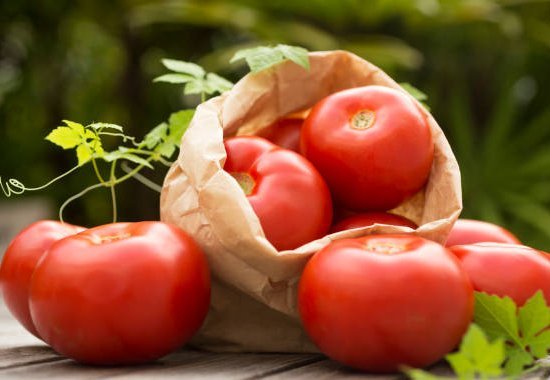 tomato